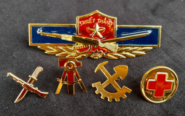 Vietnam Military Collectible Pins